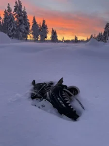 luistimet auringonlaksu