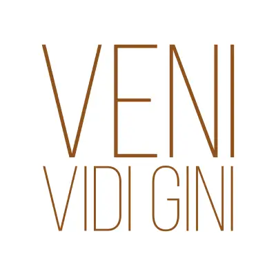 v v gini